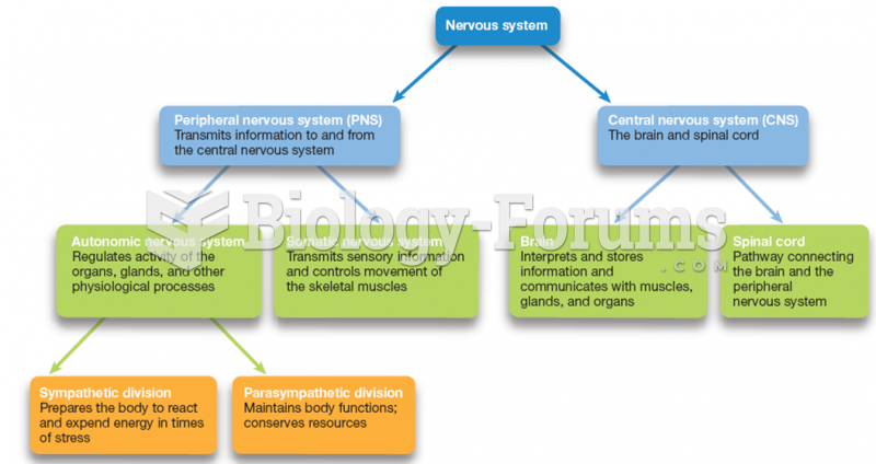 Divisions of the nervous system 