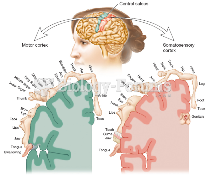 The Body as Mapped on the Motor Cortex and Somatosensory Cortex