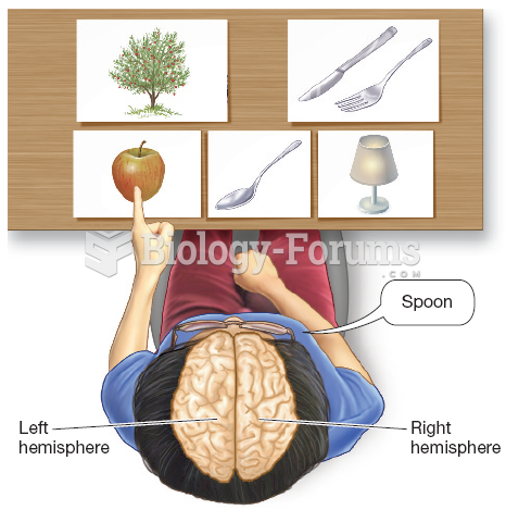 A Split-Brain Experiment 