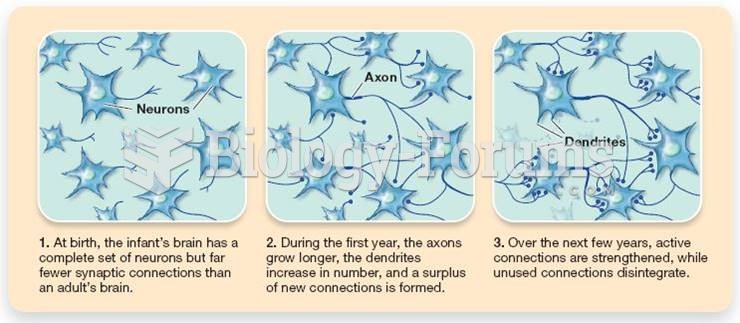 The Processes of Synaptic Pruning