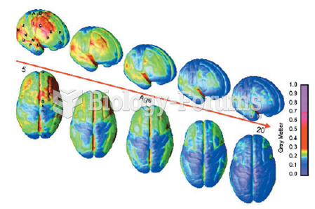 The Processes of Synaptic Pruning (Part 2)