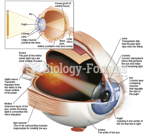 The Human Eye and its Structures 