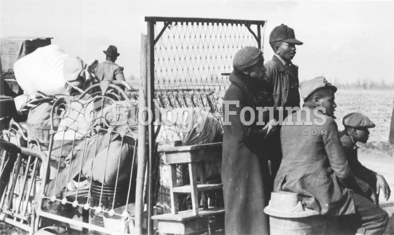 Black sharecroppers evicted from their tenant farms were photographed by Arthur Rothstein along a ..