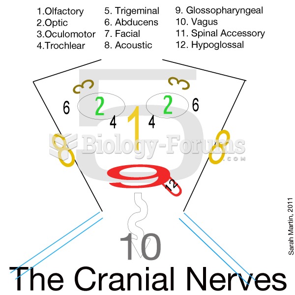 Cranial Nerves Memory Tool