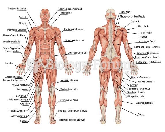 Anatomy diagram