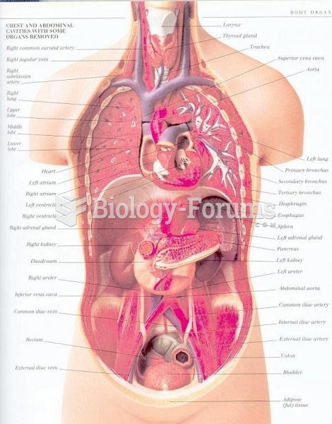 Anatomy diagram