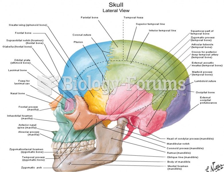 thee skull diagram