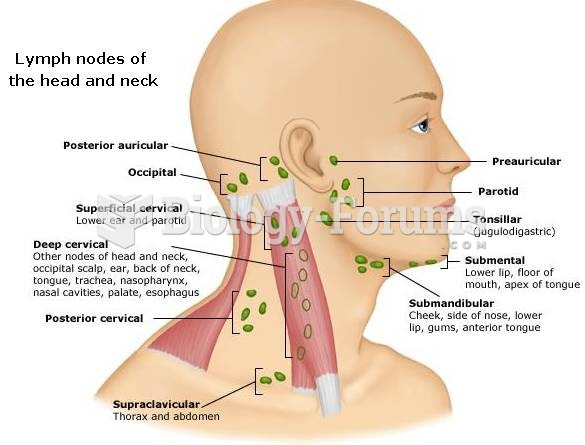 back of neck diagram