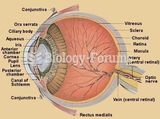 anatomy diagram