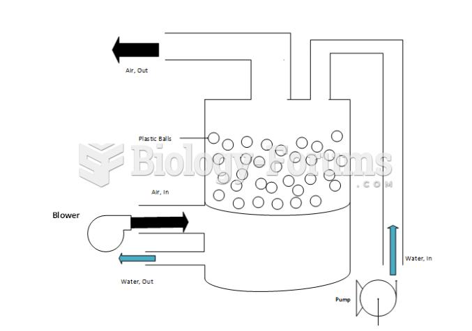 Schematic Diagram of the fluidized bed for the experiment (CHE415 Unit Operations)