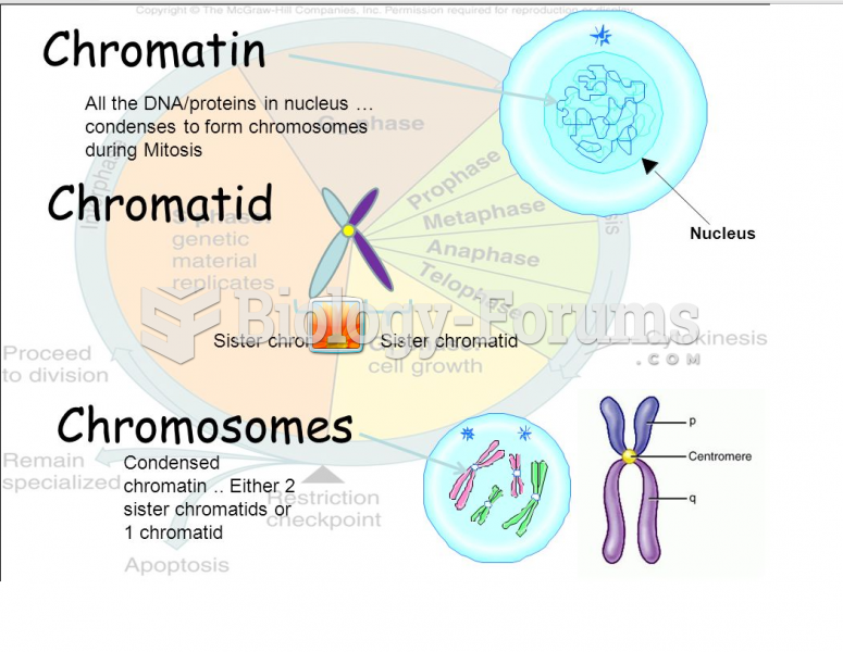 Difference between chromosomes, chromatids, and chromatins