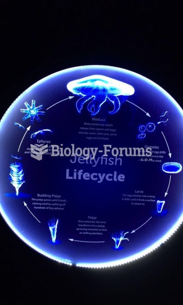 jellyfish life cycle