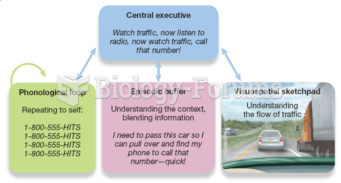 The Serial Position Effect 