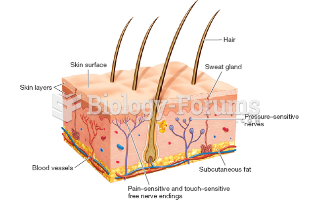 Cross Section of Skin and Free Nerve Endings 