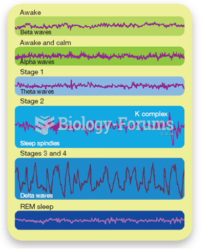 EEG Recordings During Wakefulness and Sleep