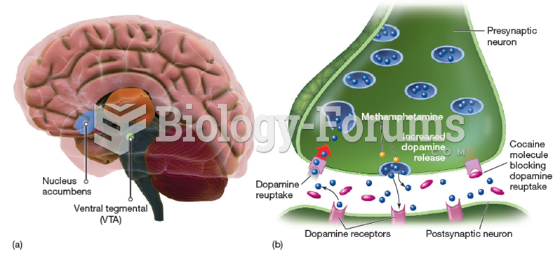 Stimulant Effects on the Brain 