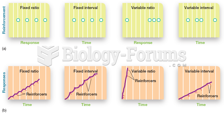 Schedules of Reinforcement 