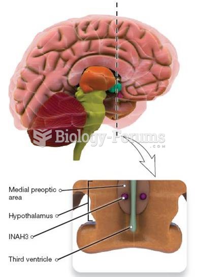 Sexual Orientation and the Brain 