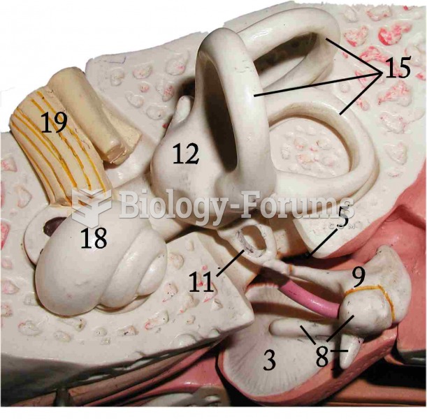 ear model