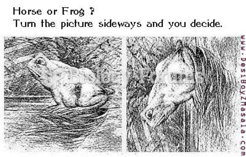 Horse or Frog
