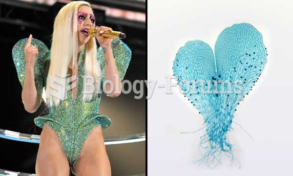 Lady Gaga - Gaga germanotta & Gaga monstraparva