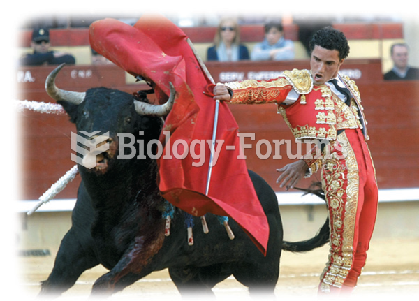 Many Americans perceive bullfighting as a cruel activity that should be illegal everywhere. To most ...