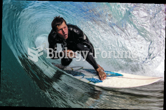 With their specialized language and activities, surfers are highly recognized as members of a ...