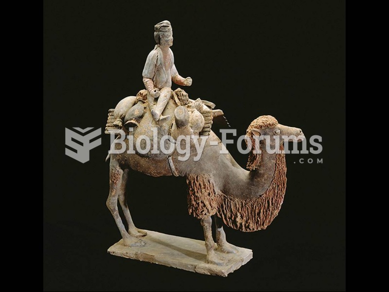 Caravaneer on a camel, China. Tang dynasty, (618–907). Polychrome terra-cotta figure. 