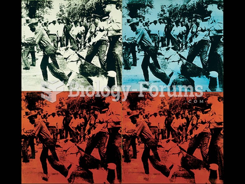 Andy Warhol, Race Riot.  