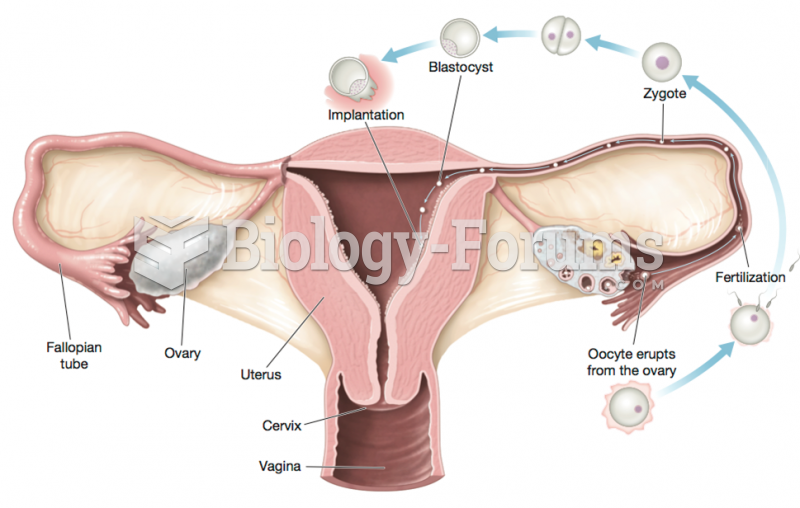 The Events of the Germinal Period