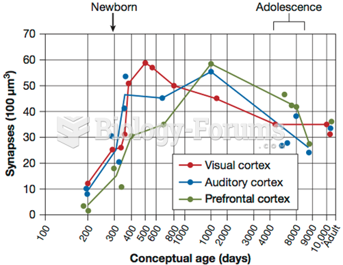 Synaptogenesis and Pruning in the Human Cortex