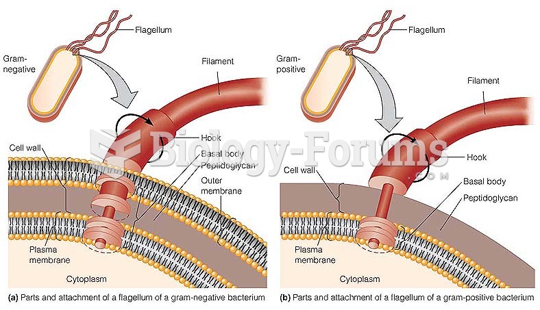 The Structure Of A Prokaryotic Flagellum