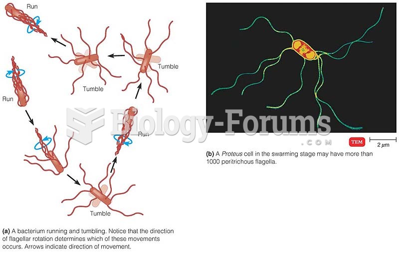 Flagella And Bacterial Motility
