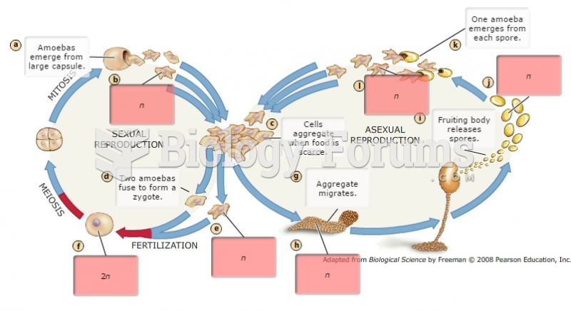 The life cycle of Dictyostelium