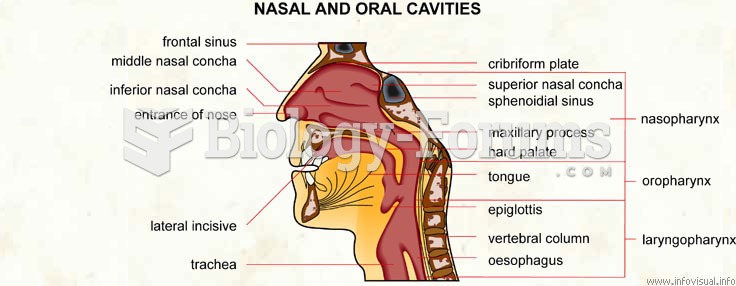 Nasal and oral cavities
