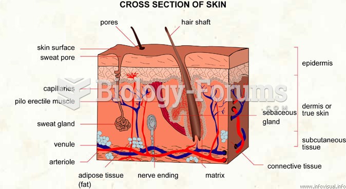 Cross section of skin