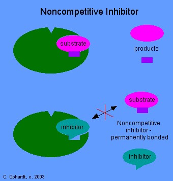 Non-competitive inhibition