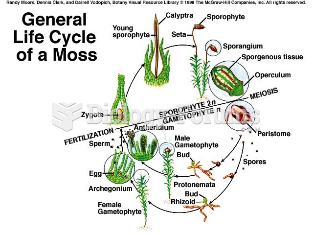 Life cycle of moss