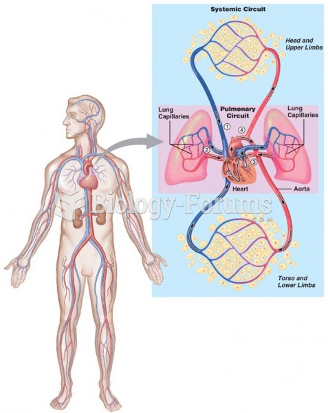 Blood Flow Through the Cardiorespiratory System