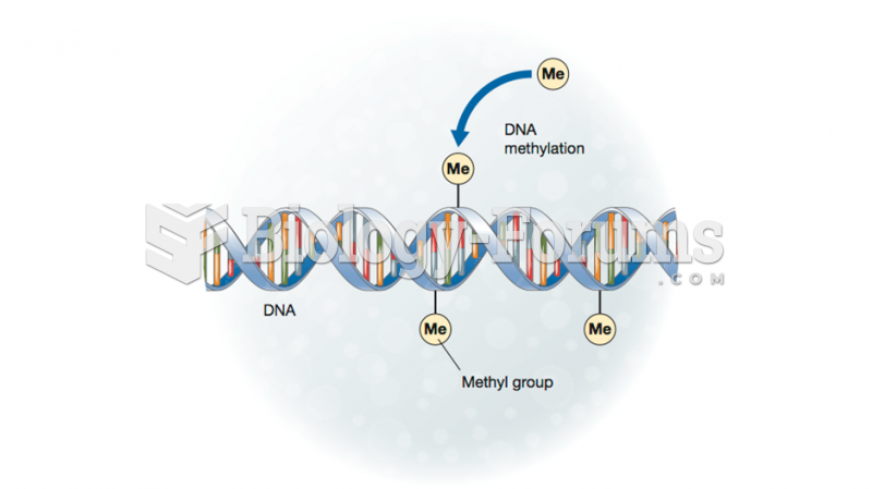 DNA Methylation: An Epigenetic Mechanism