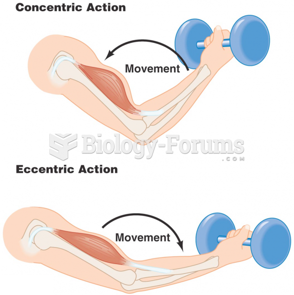 Concentric and Eccentric Muscle Actions