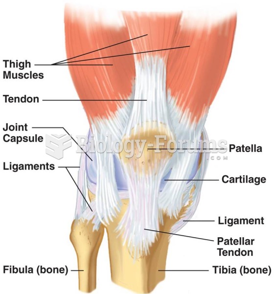 The Knee Joint: Anatomical Structures Influencing Motion