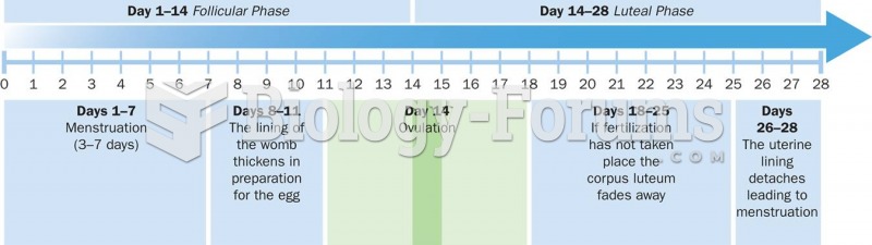 The Phases of the Menstrual Cycle: Follicular Phase and Luteal Phase