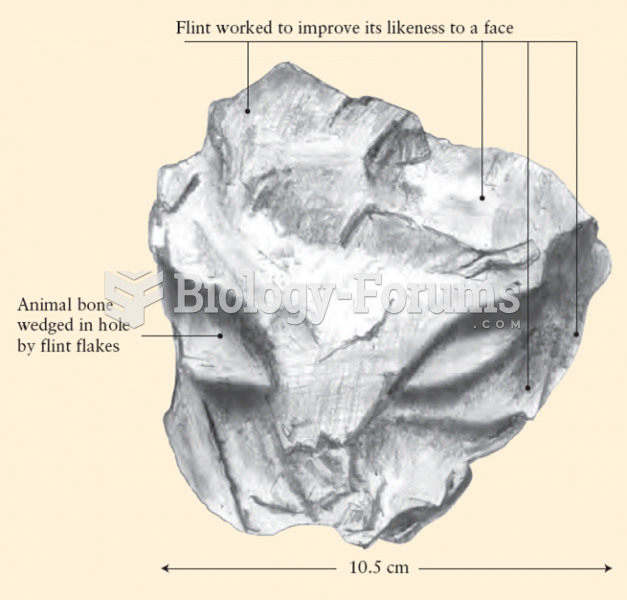 Neanderthal Expressive Culture: “Face” in Worked Flint