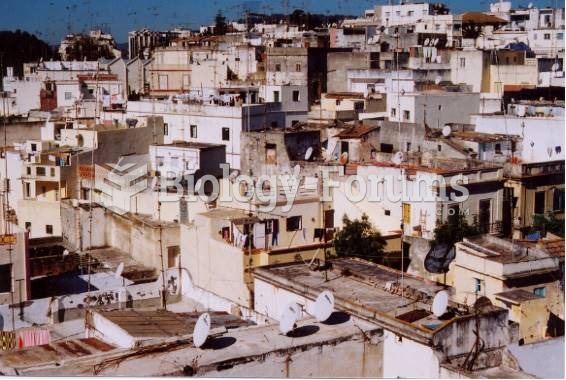 To Urban, Globalizing Sites Such as Tangier, Morocco