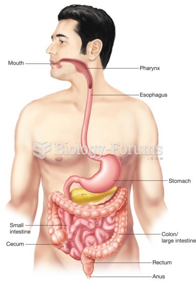 The digestive system.