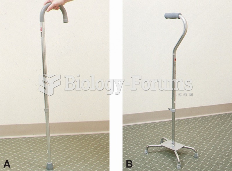 (A–B) Two types of canes.