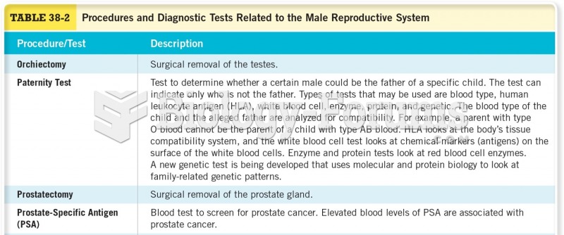 Procedures and Diagnostic Tests Related to the Male Reproductive System