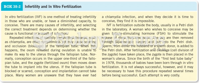 Infertility and In Vitro Fertilization 