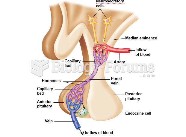 The hypothalamic-pituitary portal system.